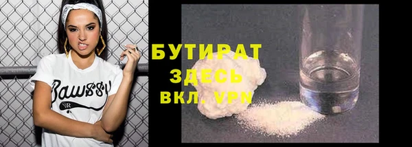 PSILOCYBIN Вяземский