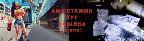 PSILOCYBIN Вяземский