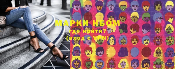 PSILOCYBIN Вяземский