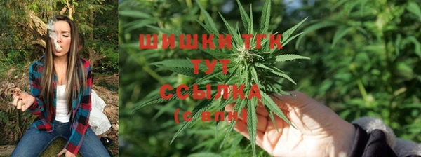 прущие крисы Волосово