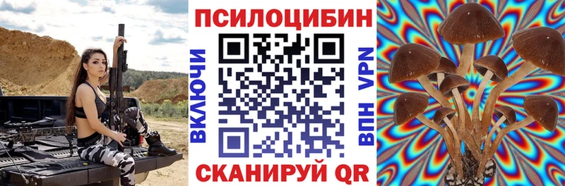 Псилоцибиновые грибы ЛСД  что такое наркотик  кракен рабочий сайт  Зубцов 